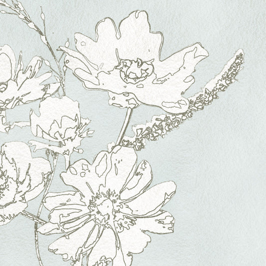 【サンプル】はがせる壁紙 のりなしタイプ Mon Sucrier 花柄 ブロッサムフレーバー NMS-BF03 フロウブルー