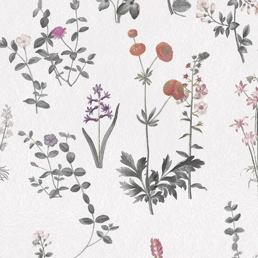 【サンプル】はがせる壁紙 のりなしタイプ Mon Sucrier 花柄 カントリーガーデン NMS-CG01 ブランチ