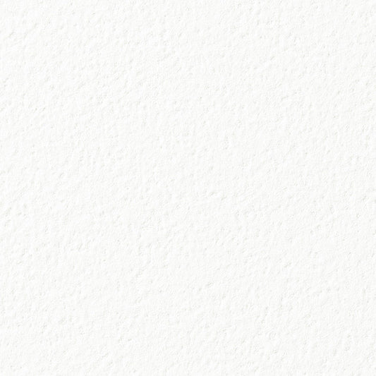 【サンプル】国産壁紙 クロス / サンゲツ / ホワイト RE-55021 FE-76081