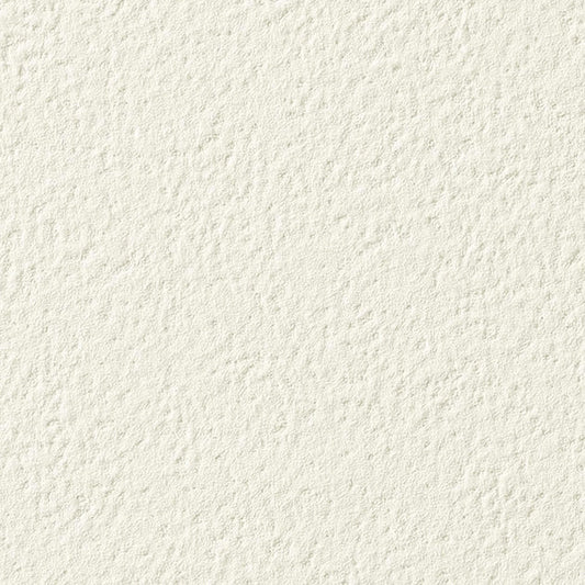 【サンプル】国産壁紙 クロス / サンゲツ / ホワイト RE-55036 FE-76086