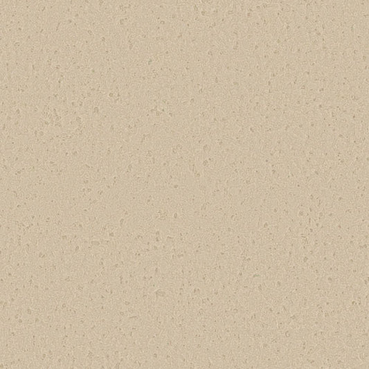 【サンプル】国産壁紙 クロス / サンゲツ / ベージュ RE-55037