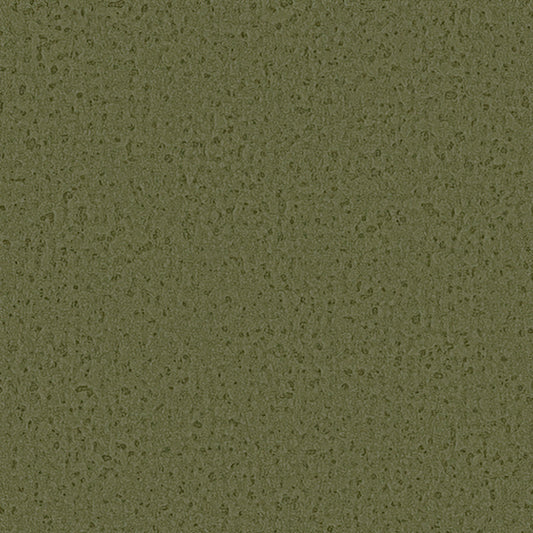 【サンプル】国産壁紙 クロス / サンゲツ / グリーン RE-55046 FE-76090