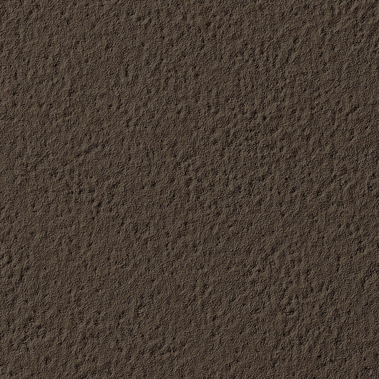 【サンプル】国産壁紙 クロス / サンゲツ / ブラウン RE-55049 FE-76094