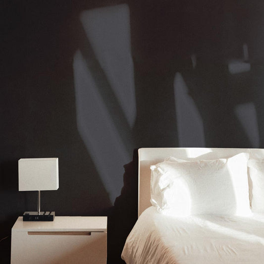 生のり付き【30m+施工道具セット】国産壁紙 クロス / サンゲツ / ブラック RE-55060 FE-76100