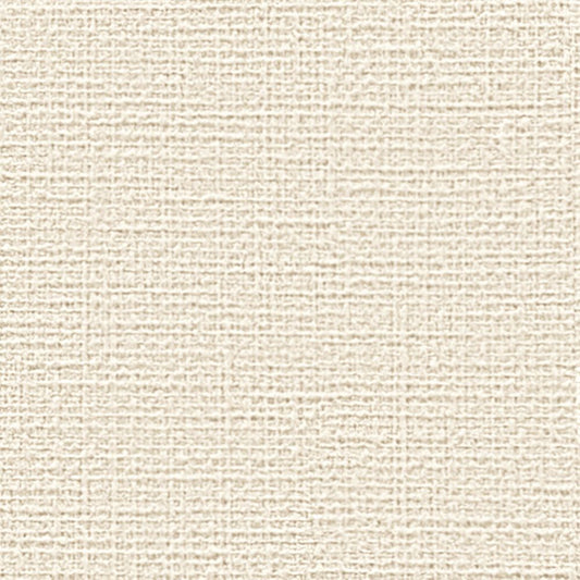 【サンプル】国産壁紙 クロス / サンゲツ / ホワイト RE-55117 FE-76161