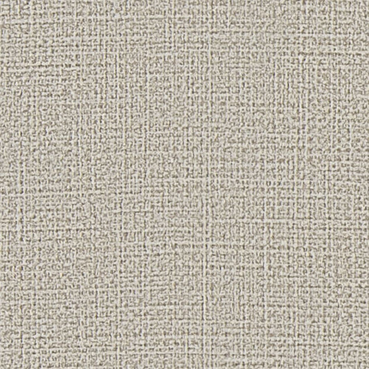 【サンプル】国産壁紙 クロス / サンゲツ / グレー RE-55118 FE-76162