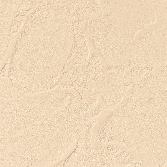 【サンプル】国産壁紙 クロス / サンゲツ / ベージュ RE-55122