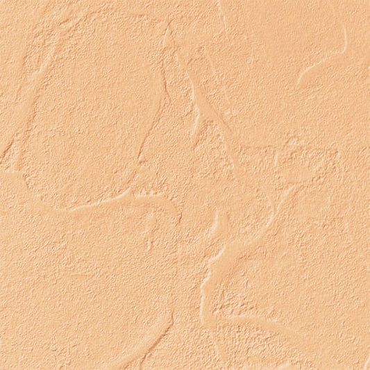 【サンプル】国産壁紙 クロス / サンゲツ / オレンジ RE-55124