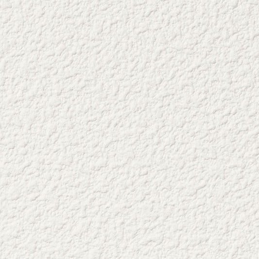 【サンプル】国産壁紙 クロス / サンゲツ / 天井におすすめ RE-55202 FE-76487