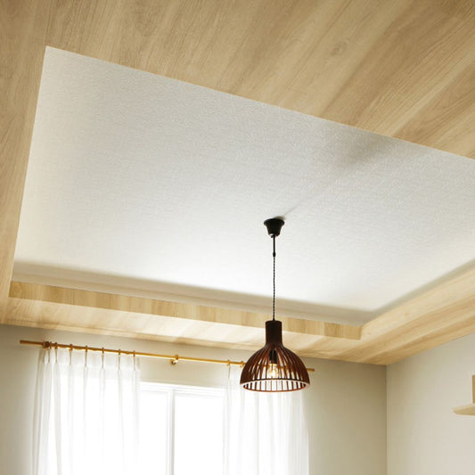 生のり付き【15m+施工道具セット】国産壁紙 クロス / サンゲツ / 天井におすすめ RE-55209 FE-76500