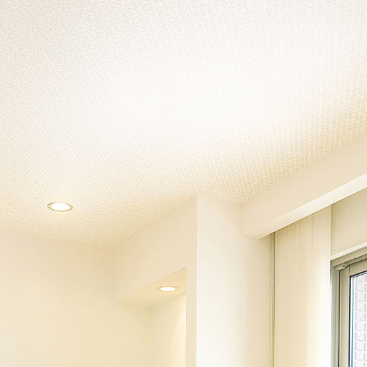 生のり付き【30mパック】国産壁紙 クロス / サンゲツ / 天井におすすめ RE-55211 FE-76498