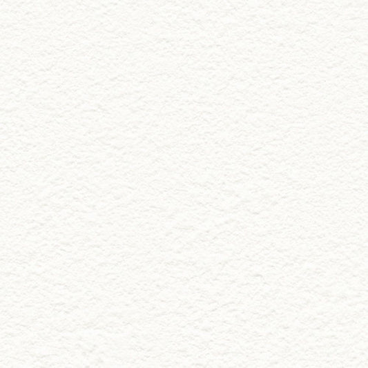 【サンプル】国産壁紙 クロス / サンゲツ / 傷防止におすすめ RE-55229 FE-76236