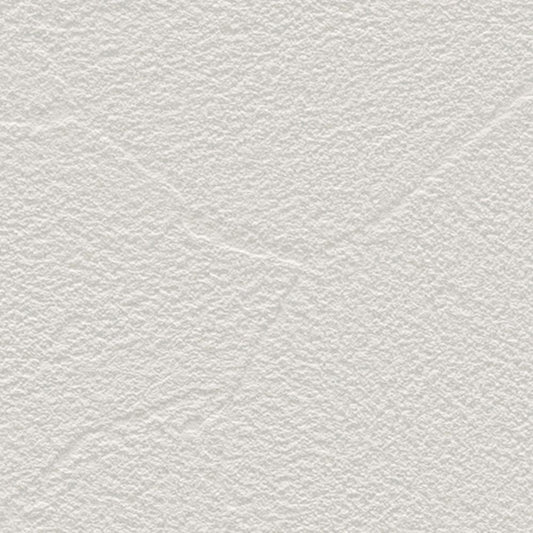 【サンプル】国産壁紙 クロス / サンゲツ / 傷防止におすすめ RE-55234 FE-76248