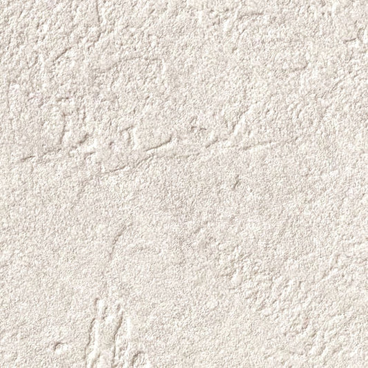 【サンプル】国産壁紙 クロス / サンゲツ / 傷防止におすすめ RE-55250 FE-76278