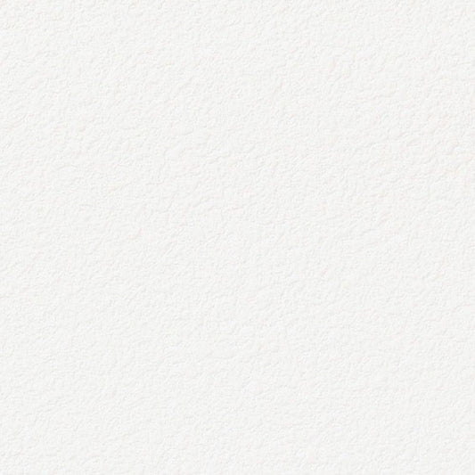 【サンプル】国産壁紙 クロス / サンゲツ / 菌の抑制におすすめ RE-55341 FE-76311