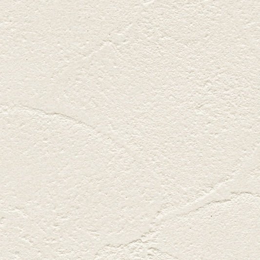 【サンプル】国産壁紙 クロス / サンゲツ / 菌の抑制におすすめ RE-55344 FE-76314