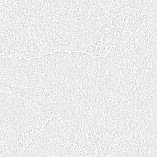 【サンプル】国産壁紙 クロス / サンゲツ / 菌の抑制におすすめ RE-55389