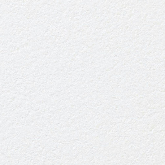 【サンプル】国産壁紙 クロス / サンゲツ / 傷防止におすすめ RE-55411 FE-76101