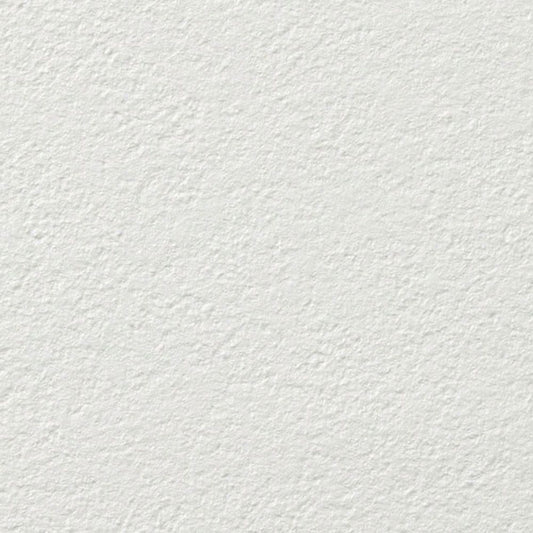 【サンプル】国産壁紙 クロス / サンゲツ / 傷防止におすすめ RE-55415 FE-76105