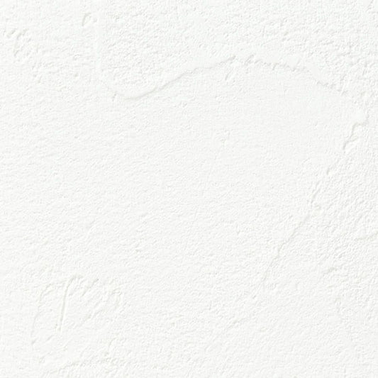 【サンプル】国産壁紙 クロス / サンゲツ / ペットにおすすめ RE-55451 FE-76430