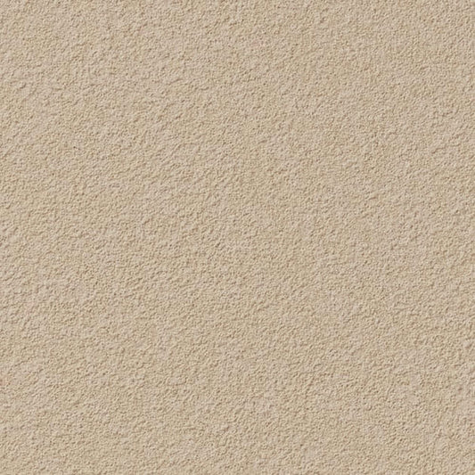 【サンプル】国産壁紙 クロス / サンゲツ / ペットにおすすめ RE-55461 FE-76414