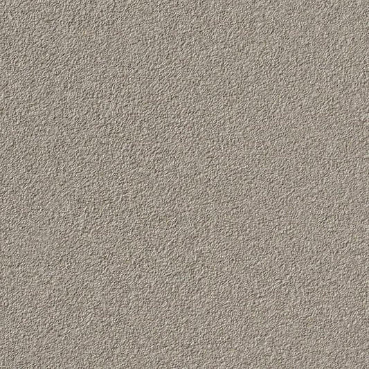 【サンプル】国産壁紙 クロス / サンゲツ / ペットにおすすめ RE-55462 FE-76415