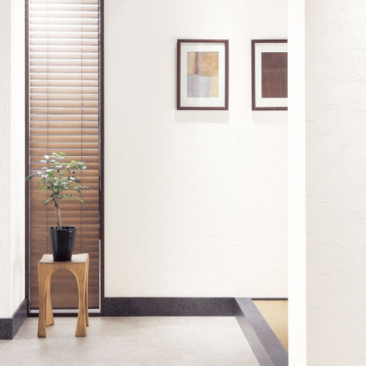 生のり付き【30m+施工道具セット】国産壁紙 クロス / サンゲツ / 水周りにおすすめ RE-55520 FE-76439