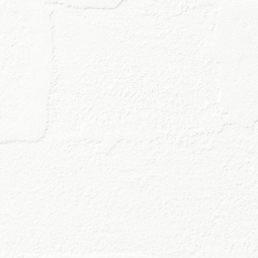 【サンプル】国産壁紙 クロス / サンゲツ / 湿度調整におすすめ RE-55545 FE-76461