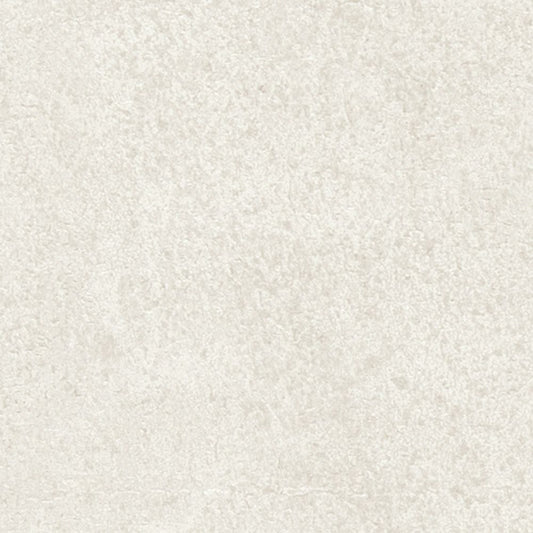 【サンプル】国産壁紙 クロス / サンゲツ / コンクリート RE-55611 FE-76656