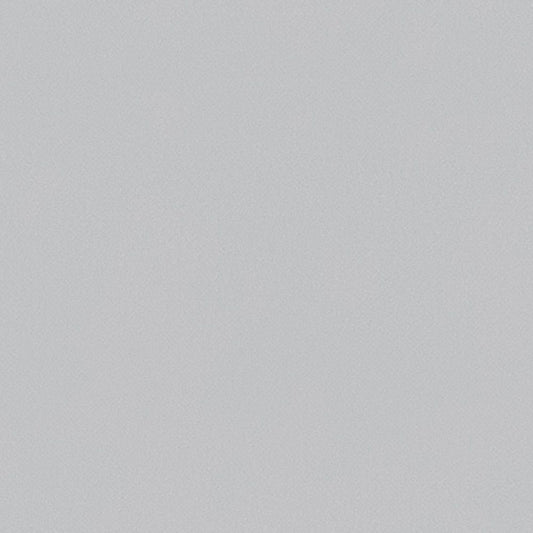 【サンプル】国産壁紙 クロス / サンゲツ / グレー RE-55753