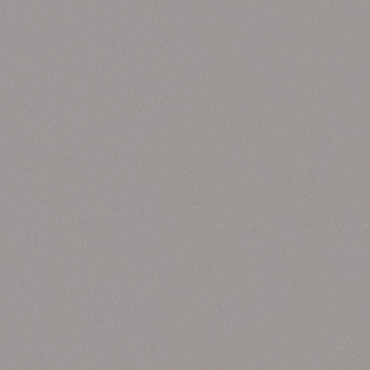 【サンプル】国産壁紙 クロス / サンゲツ / グレー RE-55754