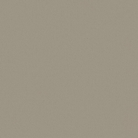 【サンプル】国産壁紙 クロス / サンゲツ / ベージュ RE-55757