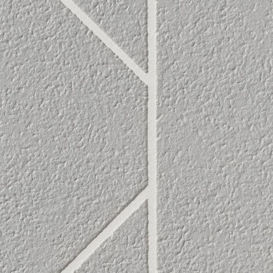 【サンプル】国産壁紙 クロス / サンゲツ / パターン柄 RE-55867 FE-76840