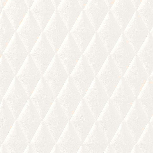 【サンプル】国産壁紙 クロス / サンゲツ / パターン柄 RE-55888 FE-76769