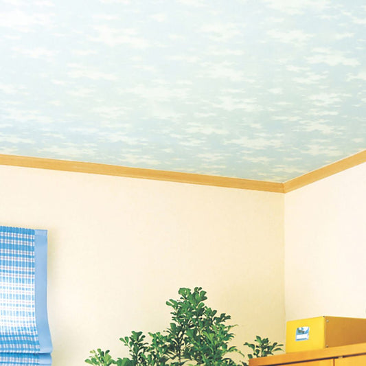 生のり付き【10mパック】国産壁紙 クロス / サンゲツ / 子ども部屋におすすめ RE-55952 FE-76865