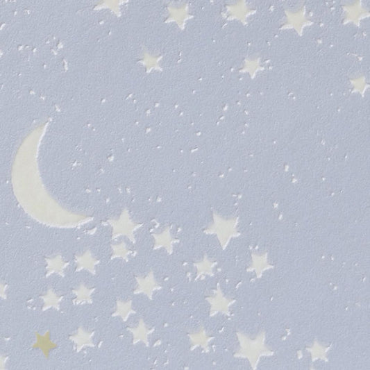 【サンプル】国産壁紙 クロス / サンゲツ / 子ども部屋におすすめ RE-55953 FE-76864