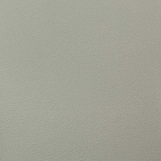 RF-3014 RH-9069 壁紙 のりなし クロス / ルノン / フレッシュ グレーの無地【サンプル】