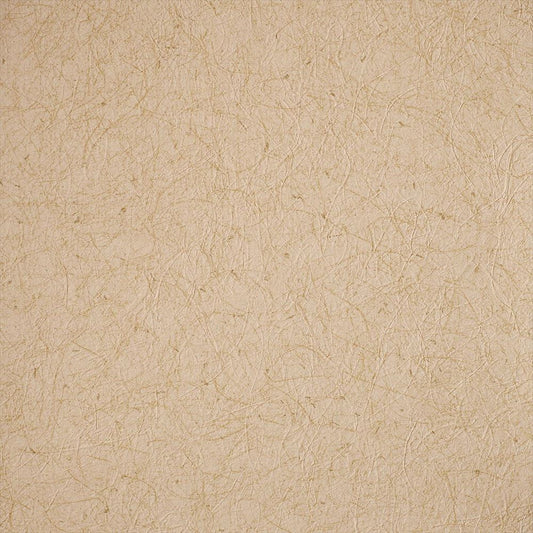 RF-3134 RH-9335 壁紙 のり付き クロス / ルノン / フレッシュ 和室におすすめ【15m+施工道具セット】