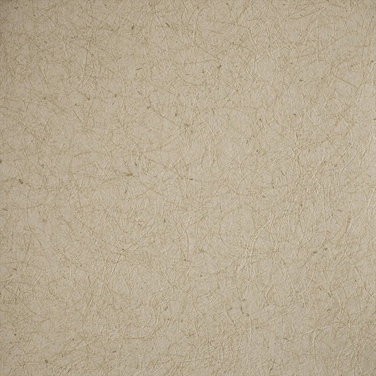 RF-3135 RH-9336 壁紙 のり付き クロス / ルノン / フレッシュ 和室におすすめ【30mパック】