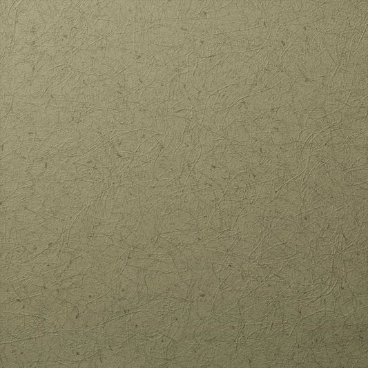 RF-3136 俯瞰画像