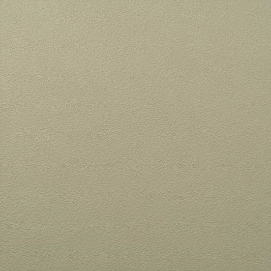 RF-3263 RH-9077 壁紙 のりなし クロス / ルノン / フレッシュ 水周りにおすすめ【サンプル】