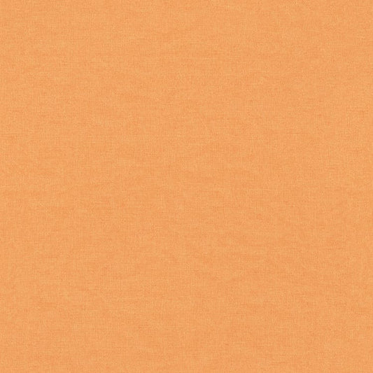 輸入壁紙 rasch / ラッシュ 464085