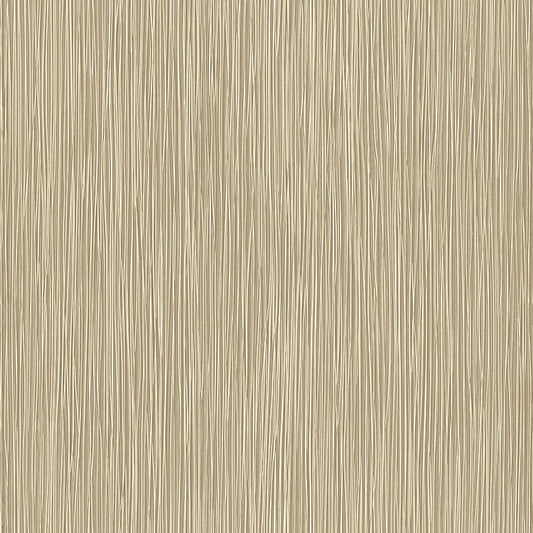 輸入壁紙 rasch / ラッシュ 529937