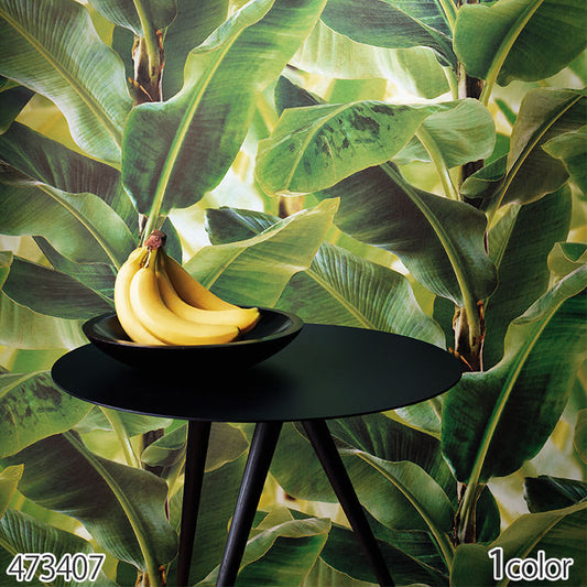 輸入壁紙 rasch / ラッシュ 473407