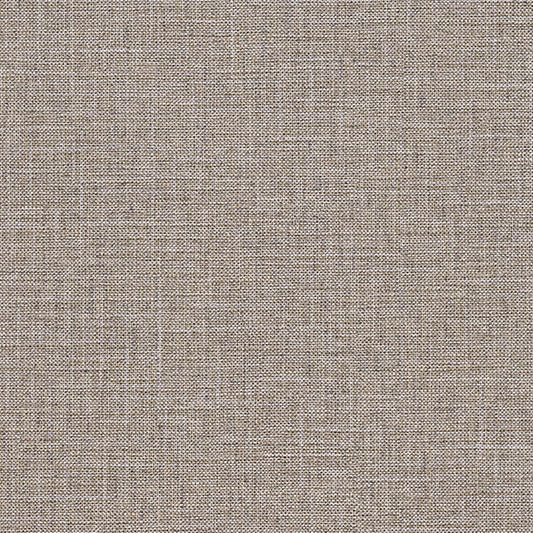 【サンプル】お買い得 国産壁紙 クロス / ルノン / ライトグレー RM-868