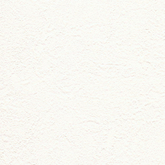 生のり付き【10m+施工道具セット】お買い得 国産壁紙 クロス / ルノン / 白の塗り壁調 RM-879