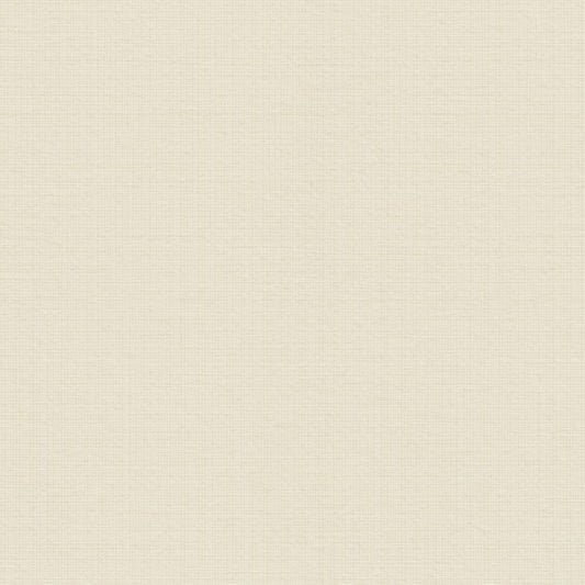 【サンプル】はがせる壁紙 のりなしタイプ レトロトレ ノスタルジックカラー NRT-PN20 アイボリー