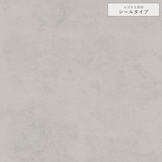 モルタル/アッシュグレー