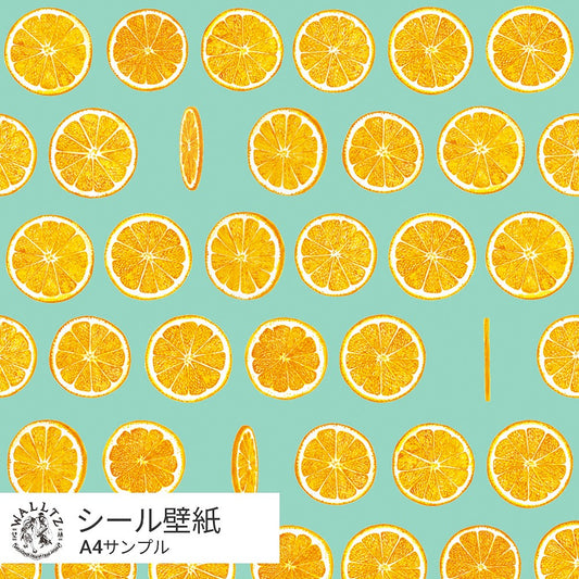 【サンプル】はがせる壁紙 シールタイプ WALLTZ ウォルツ イワタニユウスケ オランジェット ブルー TWZ-OJBL