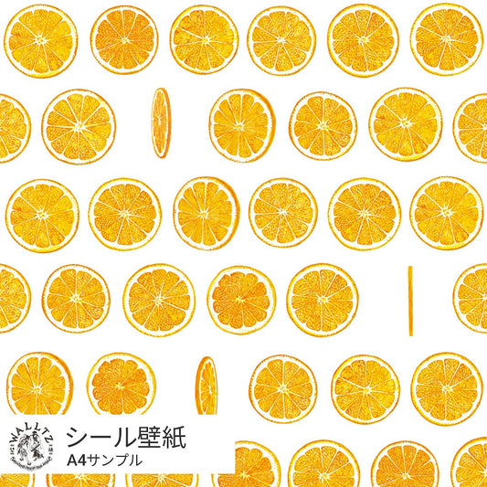 【サンプル】はがせる壁紙 シールタイプ WALLTZ ウォルツ イワタニユウスケ オランジェット ホワイト TWZ-OJWH